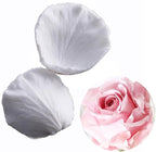 SK Rose Petals Silicone Fondant Mold Sugar Paste Baking Mould Cookie Pastry