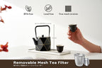 Toptier Cast Iron Teapot, Stovetop Safe Japanese Cast Iron Tea Kettle, Diamond Design Tea Pot with Removable Infuser for Loose Tea, 30 Ounce (900 ml), Black