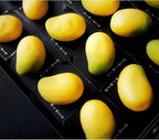 OCPO KITCHEN Mango Silicone Mold for Baking Mousse Cake, Fruit French Dessert, Pastry, Chocolate, Ice Cream, Cake Decoration Mold, 3D Mango Shape (10-Cavity)