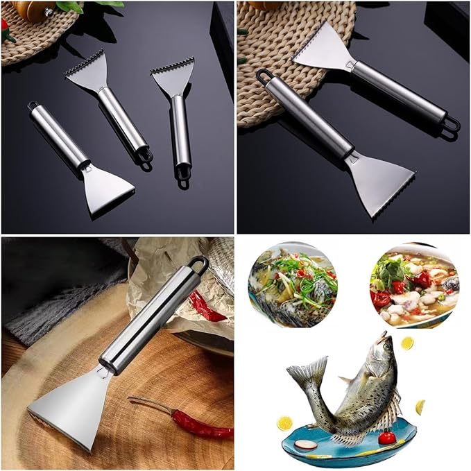 4 Pack Fish Scaler Scale Remover Stainless Steel Rake Teeth Scraping Tool Descaler Knives Scales Cleaning Descaling Scraper for Bream Salmon Fishes Seafood Market Kitchen