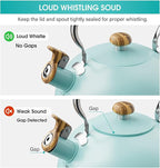 2.6 Quart Tea Kettle Stovetop Whistling for Stove Top, Food Grade Stainless Steel Tea Kettles with Cool Wood Pattern Handle, Blue