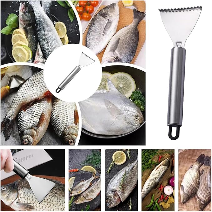 4 Pack Fish Scaler Scale Remover Stainless Steel Rake Teeth Scraping Tool Descaler Knives Scales Cleaning Descaling Scraper for Bream Salmon Fishes Seafood Market Kitchen