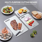 Titanium Cutting Boards,100% Pure Titanium Kitchen Cutting Board, Double-Sided Non-Toxic Cutting Board, Ideal for Slicing and Dicing Meats, Features Handle, Dishwasher Safe,10.5"L*6.5"W