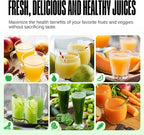 Ventray Ginnie Mini Cold Press Juicer, Small Slow Masticating Juicer for Vegetables Fruits, High Juice Yield, Easy to Clean, Space-Saving, Fit for Personal/Travel/Picnic/Office - Green