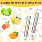 2 Piece Stainless Steel Lemon Zesters, Upgraded Lemon Zester & Channel Knife Set, Citrus Zester & Orange Peeler Tool, Premium Lemon Grater for Family Kitchen, for Bar Bartenders