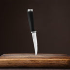 Hampton Forge Epicure–4PieceSteak KnifeSet–Black, Silver