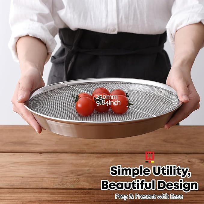WAGENSTEIGER Stainless Steel Mesh Tray Set with Drip Pan, Air Fryer Basket and Tray, Kitchen Colander, Vegetable and Fruit Strainer, Food Filter, BBQ Prep Tool, Fruit Serving Dishes (9.84 inch)