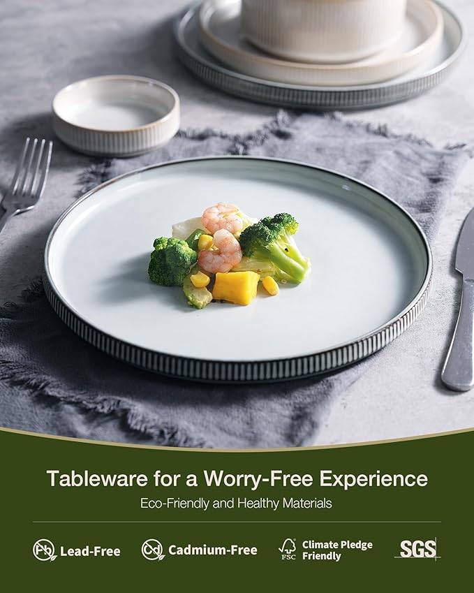Famiware Star 12-Piece Stoneware Dinnerware Sets for 4, Reactive Glaze Plates and Bowls, Modern Rustic Dishes for Everyday & Formal Use, Chip/Scratch Resistant, Microwave/Dishwasher Safe, White & Blue