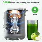 OMMO Cold Press Juicer Machines: 5.1" Wide Feed Chute Slow Masticating Juicer for Whole Fruits & Vegetables, Easy to Clean, High Juice Yield, BPA Free, Grey