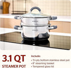 SUNHOUSE 3 Quarts Steamer Pots With Lid, 2-Tier Multipurpose Stainless Steel Steaming Pot Cookware With Stay-Cool Handles, Tri-ply Bottom, Compatible with All Cooktops