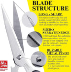 CANARY Japanese Kitchen Scissors for Food 9.5" [Long Blade] Heavy Duty Kitchen Shears, Dishwasher Safe Come Apart Blade, Japanese Stainless Steel Blade, Made in JAPAN