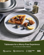 Famiware Star 12-Piece Stoneware Dinnerware Sets, Service for 4 - Handcrafted Reactive Glaze Plates and Bowls, Modern Rustic Dishes, Chip & Scratch Resistant, Microwave & Dishwasher Safe, Matte Gray