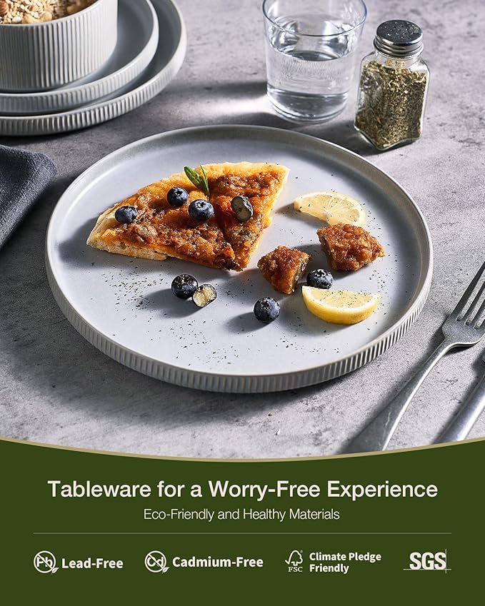 Famiware Star 12-Piece Stoneware Dinnerware Sets, Service for 4 - Handcrafted Reactive Glaze Plates and Bowls, Modern Rustic Dishes, Chip & Scratch Resistant, Microwave & Dishwasher Safe, Matte Gray
