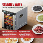 Magic Mill Pro Food Dehydrator Machine | 10 Stainless Steel Trays | Dryer for Jerky, Dog Treats, Herb, Meat, Beef, Fruit | Keep Warm Function, Digital Timer and Temperature Control, ETL Approved