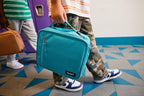 PackIt(R) Freezable Classic Lunch Box, Lavender, Built with EcoFreeze(R) Technology, Fully Freezable, Collapsible, Reusable, With Zip Front Pocket and Buckle Handle, Designed for Fresh Lunch On the Go