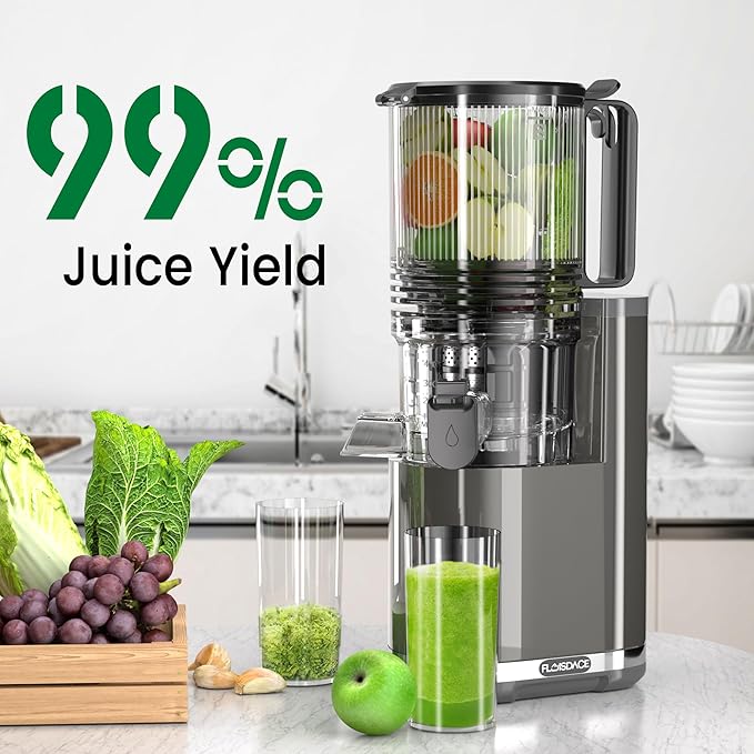 Cold Press Juicer, 6.5" Extra Wide Feed Chute Juicer Machines, 350W Slow Juicer Machines with High Juice Yield for Whole Vegetables & Fruits, BPA Free (Titanium Gray)