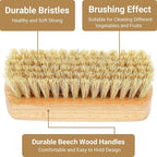 Vegetable Brush,Veggie Wash Brushes Potato Brush Cleaning Brush for Potato Carrot Cucumber and Fruits Vegetable Brush Scrubber for Food