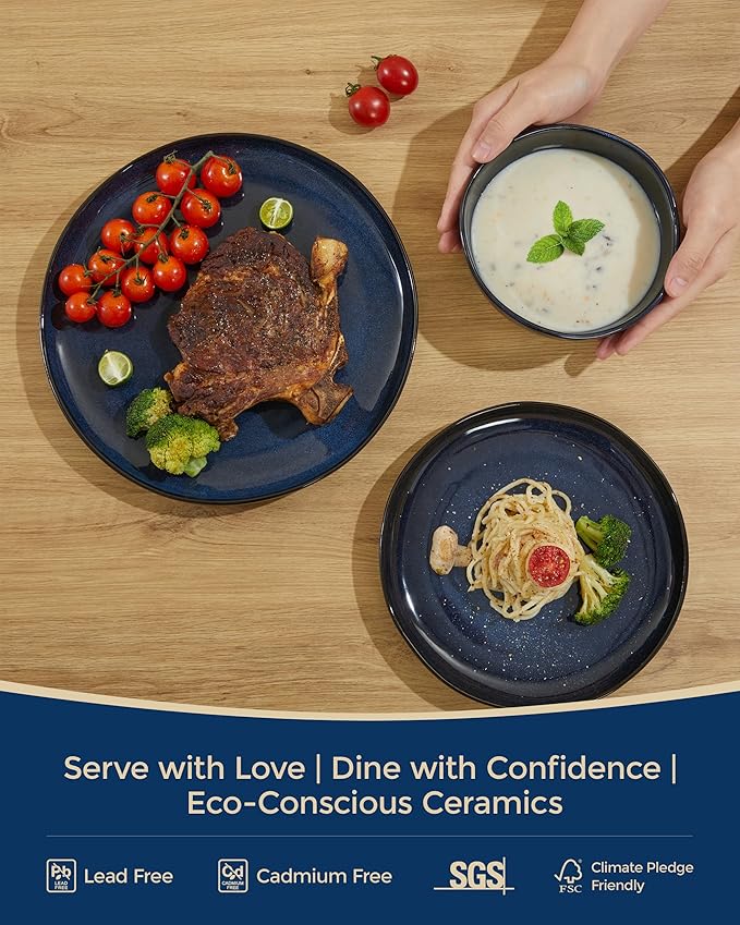Pokini Ceramic Dinnerware Sets, Microwave Safe Plates and Bowls Sets, Kitchen Dishes Set for 4, Unbreakable & Dishwasher Safe Tableware, Everyday Use, Starry Blue