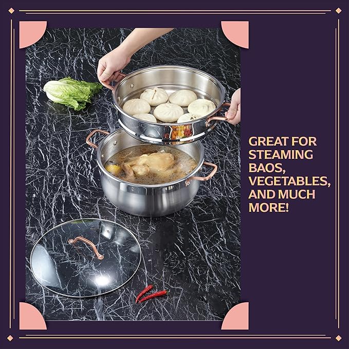 CONCORD Premium Stainless Steel 2 Tier Steamer w/Rose Gold Handles 22 cm